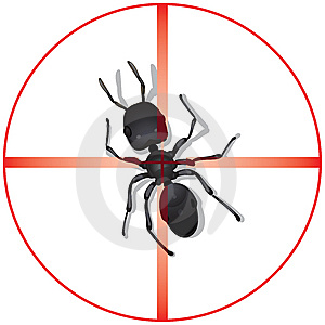 Pest Control on Android iPhone with Canvas