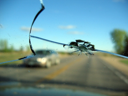 windshield repair business using canvas mobile apps