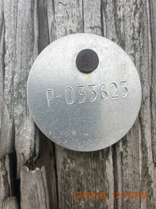 24258003377?page=6